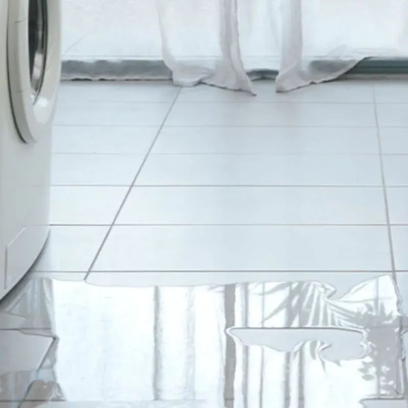 Appliance Leak Cleanup in Santa Margarita, CA